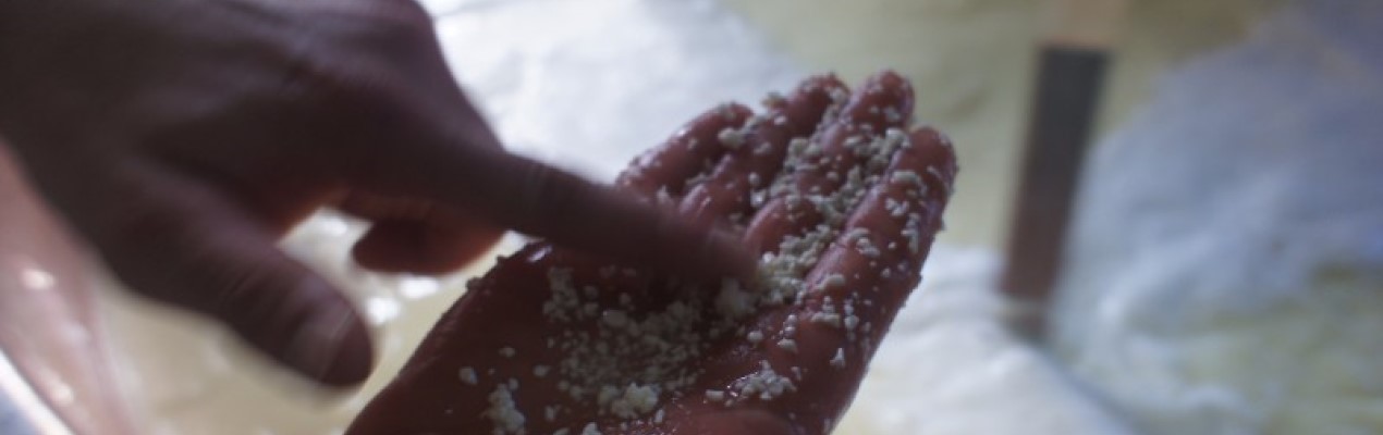 Comté L'Art de la Fromagerie