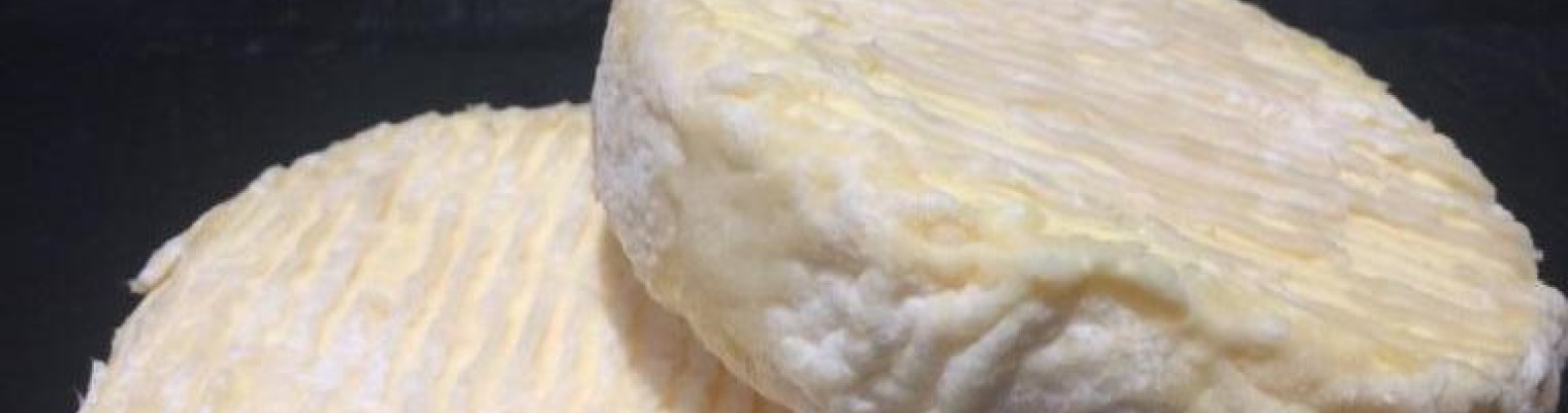 Mistral création L'Art de la Fromagerie