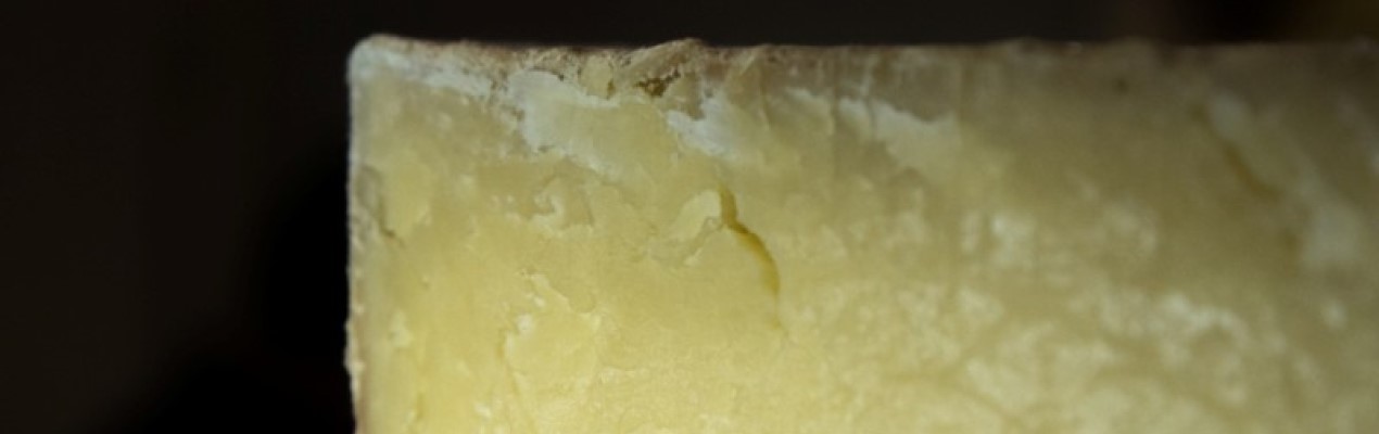 Qu'est-ce qu'un bon fromage ?