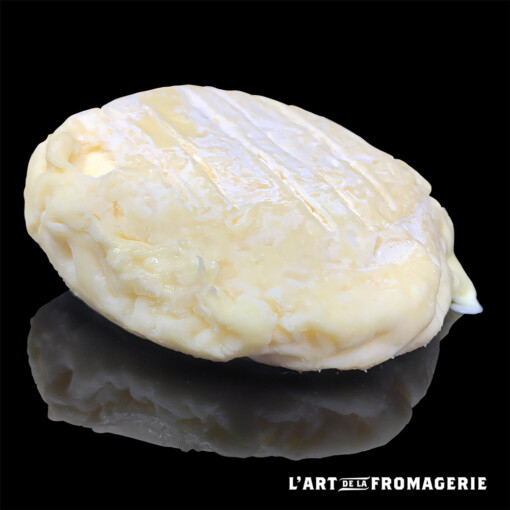 Saint-Marcellin fermier IGP