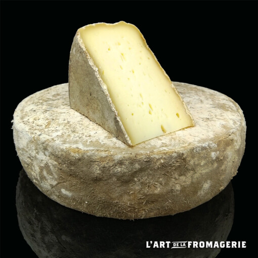 Tomme grise de Montagne
