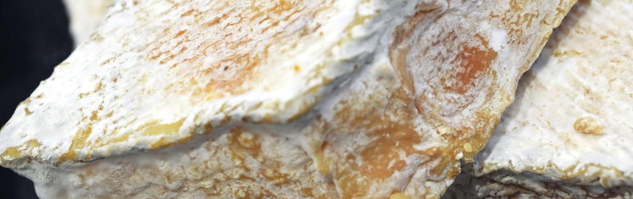 créations L'Art de la Fromagerie