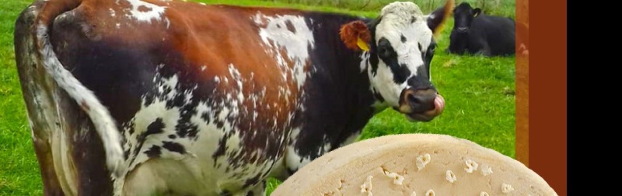 recréer un fromage