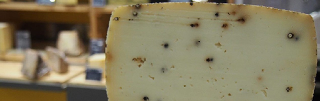 pecorino pepato bio
