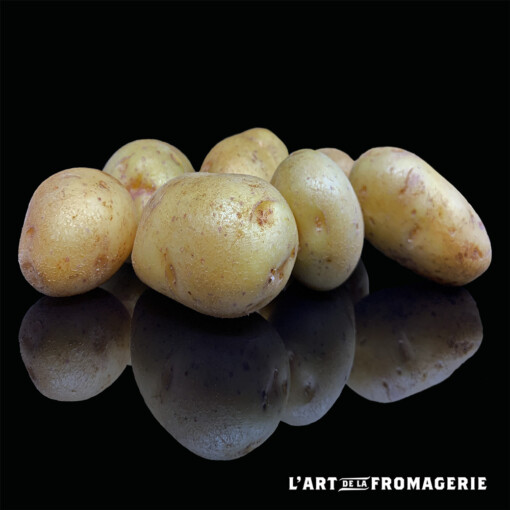 Pommes de terre ardéchoises (crues)