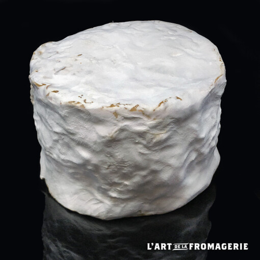Chaource fermier AOP Pâturage et foin
