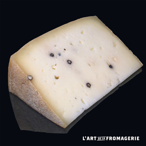 Pecorino fermier Bio au poivre de Penja