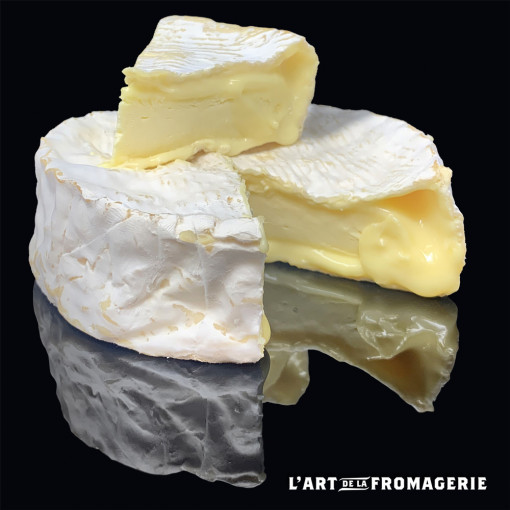 Camembert fermier Bio Slow Food Pâturage et foin