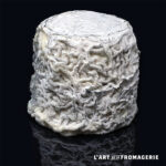 Chabis fermier