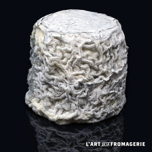 Chabis fermier