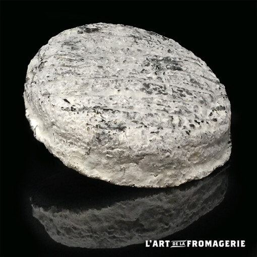 Brenette Fermière Pâturage et foin