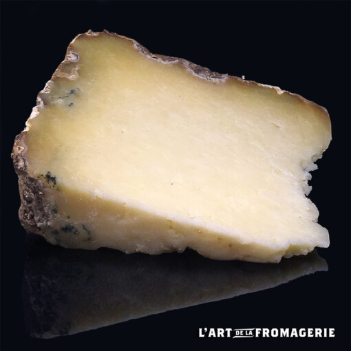Petit Tradition vache salers fermier Bio