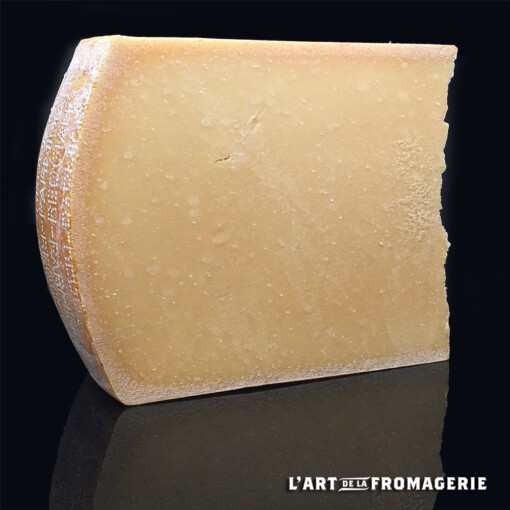 Parmigiano Reggiano Bio AOP 24 mois