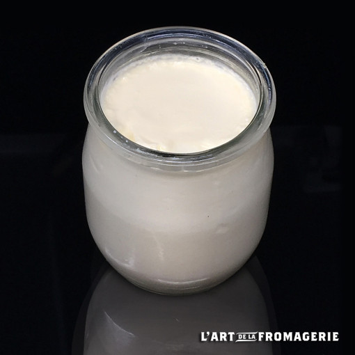 Yaourt vache nature fermier Bio x4