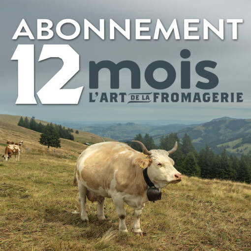 Abonnement 12 mois