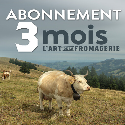 Abonnement 3 mois