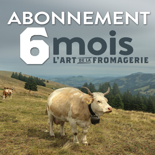 Abonnement 6 mois