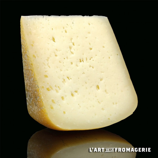 Casgiu Sartinese Jeune