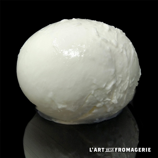 Mozzarella di Bufala AOP – 250g