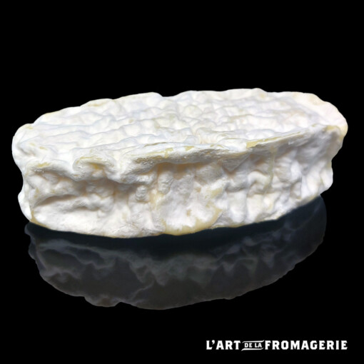 Douze fermier Bio