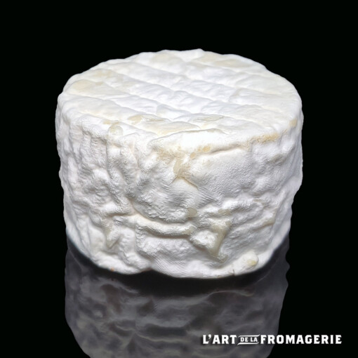 Petit Bou de brebis fermier Bio