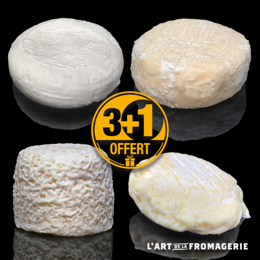 3+1 – P&rsquo;tits fromages d&rsquo;été
