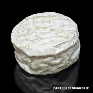 Camembeer fermier au lait de chèvre