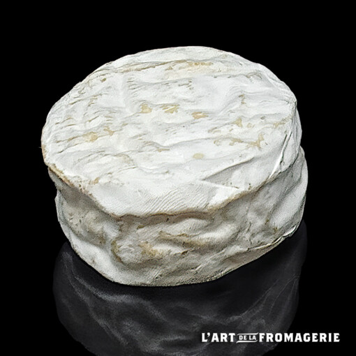 Camembeer de chèvre fermier Pâturage et foin